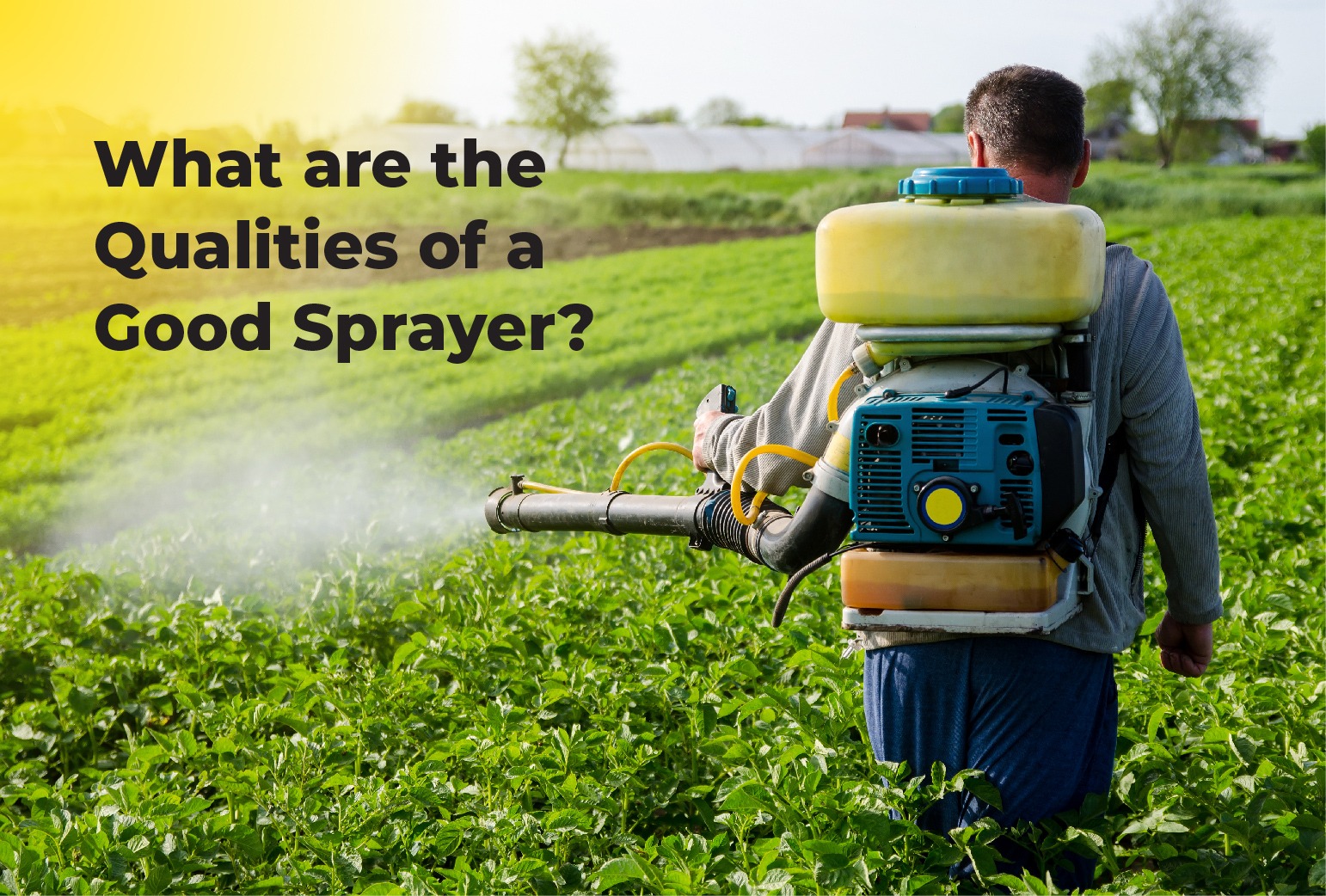 toothbrush in nigeria